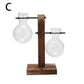Modern Glass Vase With Wooden Emma