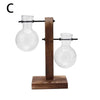 Modern Glass Vase with Wooden Stand – Hydroponic Tabletop Planter C Emma