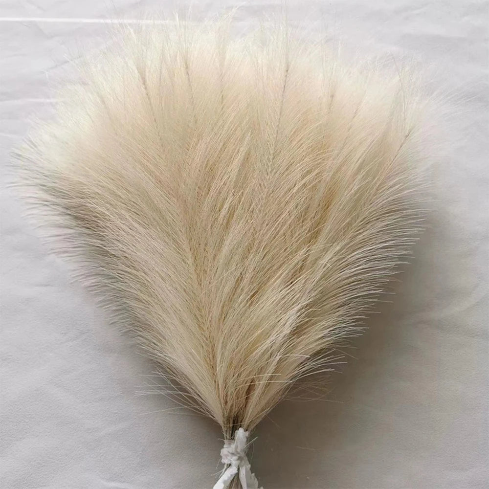 5/10/20pcs Fluffy Pampas Grass Boho YZ6-04 Emma