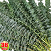 36/10pcs Eucalyptus Stems Green Leaves Emma
