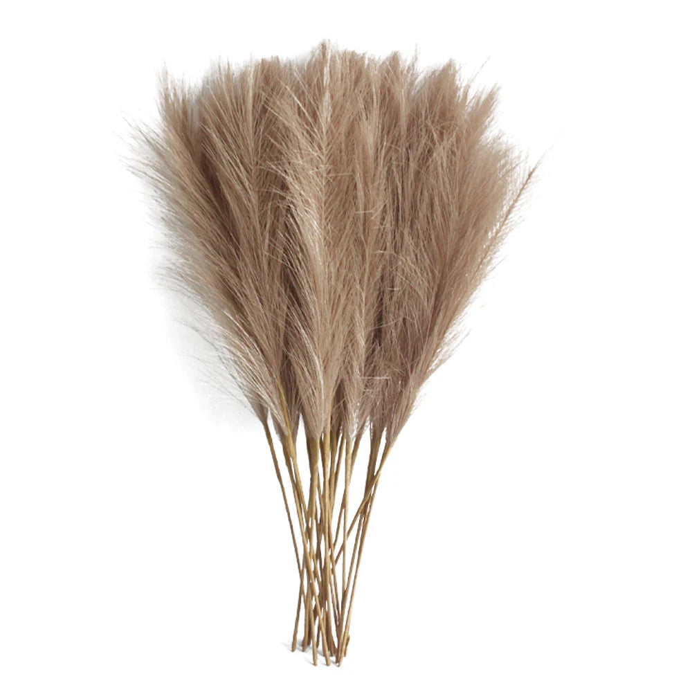 6pcs Pampas Grass Decor Flowers coffee 6PCS PACK Emma
