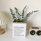 20pcs Eucalyptus Stems Leaves Green Emma
