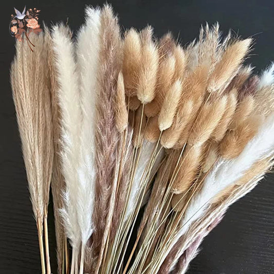 Natural Pampas Dried Flowers Bouquet Emma