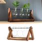 Vintage Glass Planter with Wooden Stand – Bulb Vase for Decor Emma