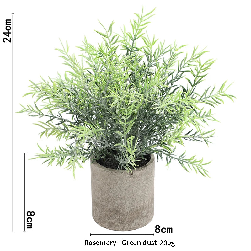 Plant Potted Eucalyptus Flower A02 Emma