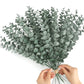 36/10pcs Eucalyptus Stems Green Leaves Emma